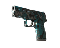 StatTrak P250 | Ripple