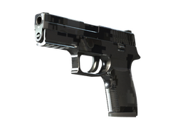P250 | Metallic DDPAT