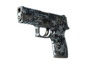 StatTrak™ P250 | Steel Disruption (Field-Tested)
