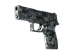 P250 | Steel Disruption (Field-Tested)