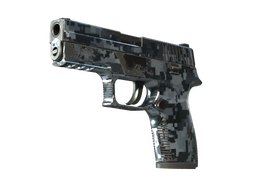 StatTrak™ P250 | Steel Disruption (Field-Tested)