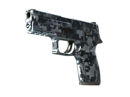 StatTrak™ P250 | Steel Disruption (Factory New)