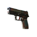 P250 | Cyber Shell