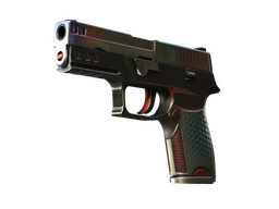 P250 | Cyber Shell (Field-Tested)