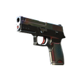 P250 | Cyber Shell