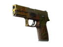 StatTrak™ P250 | Inferno (Battle-Scarred)