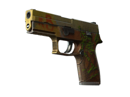P250 | Inferno (Battle-Scarred)