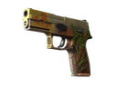 StatTrak™ P250 | Inferno (Well-Worn)