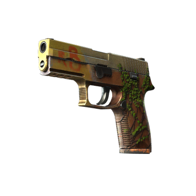 Miniatura de StatTrak™ P250 | Inferno (Field-Tested)