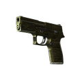 P250 | Iron Clad