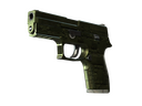 P250 | Iron Clad (Field-Tested)