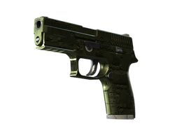 P250 | Iron Clad