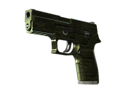 StatTrak P250 | Iron Clad