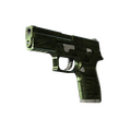 P250 | Iron Clad