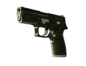 StatTrak™ P250 | Iron Clad (Minimal Wear)