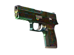 P250 | Visions (Battle-Scarred)