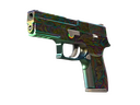 P250 | Visions (Minimal Wear)