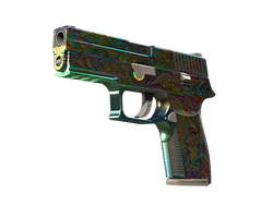 P250 | Visions