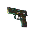 P250 | Visions