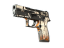 P250 | Bengal Tiger (Battle-Scarred)