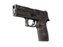 P250 | Facility Draft (Battle-Scarred)