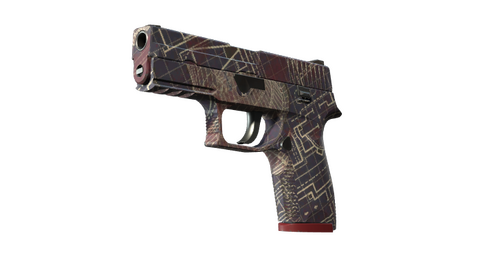 P250 | Facility Draft (Minimal Wear)