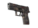 P250 | Facility Draft (Well-Worn)