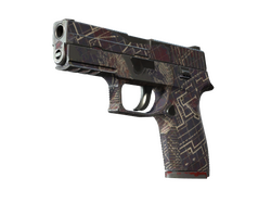 P250 | Facility Draft