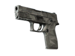 P250 | Facets (Well-Worn)