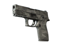 P250 | Facets (Field-Tested)