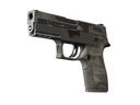 P250 | Facets (Battle-Scarred)
