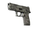 P250 | Facets (Factory New)