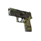 P250 | Boreal Forest (Battle-Scarred)