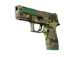 P250 | Boreal Forest