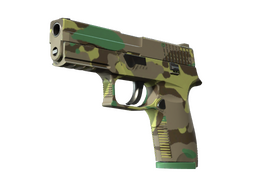 P250 | Boreal Forest (Minimal Wear)
