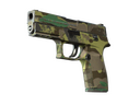 P250 | Boreal Forest (Field-Tested)