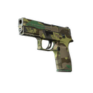 P250 | Boreal Forest (Well-Worn)
