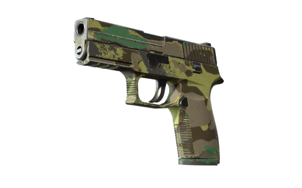 p250-boreal-forest