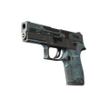 P250 | Forest Night