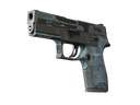 P250 | Forest Night (Battle-Scarred)