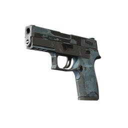 Souvenir P250 | Forest Night (Battle-Scarred)
