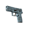P250 | Forest Night