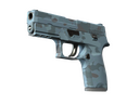 P250 | Forest Night (Factory New)