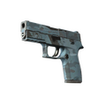 P250 | Forest Night