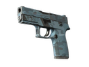 P250 | Forest Night (Field-Tested)