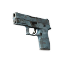 P250 | Forest Night (Field-Tested)