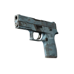 Souvenir P250 | Forest Night (Field-Tested)