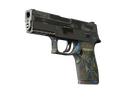 P250 | Exchanger (Battle-Scarred)