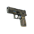 P250 | Exchanger
