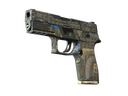 Souvenir P250 | Exchanger (Well-Worn)